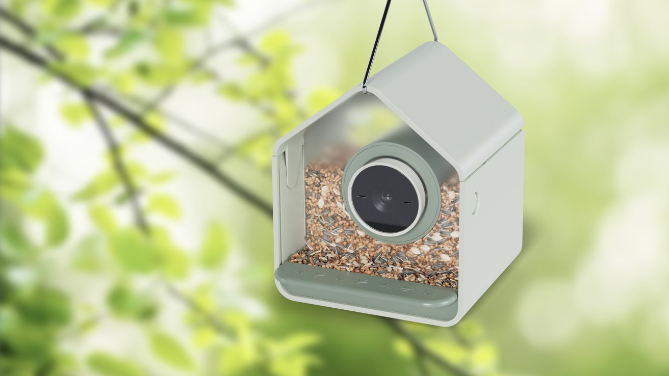 BirdBuddy 2 mini smart feeder films wildlife with a 2K camera